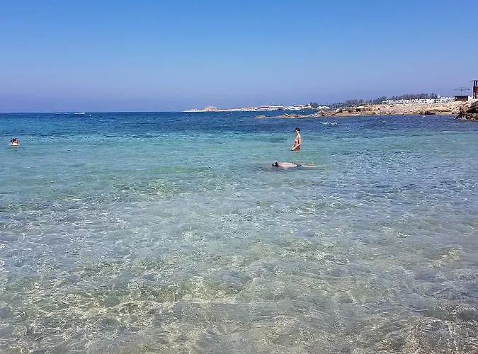 Jasmin Gardens Daire Pafos