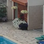 Jasmin Gardens *
