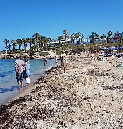 Jasmin Gardens * פאפוס